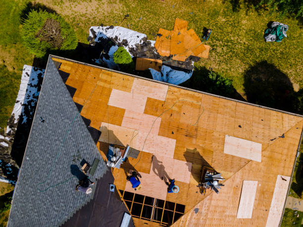Best Storm Damage Roof Repair  in University At Buffalo, NY