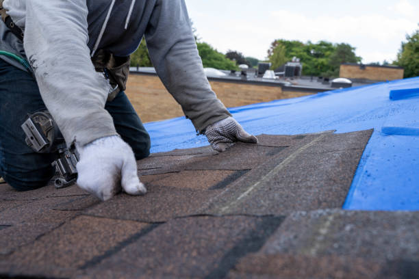 Quick and Trustworthy Emergency Roof Repair Services in University At Buffalo, NY