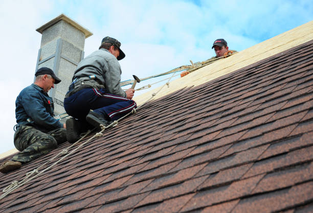 Roof Gutter Cleaning in University At Buffalo, NY